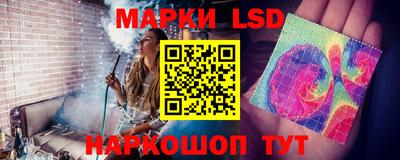 шишки Гатчина