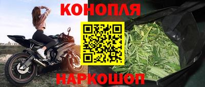 дмт Гай