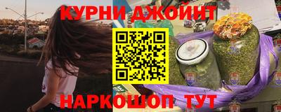 дмт Гай