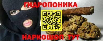 дмт Гай