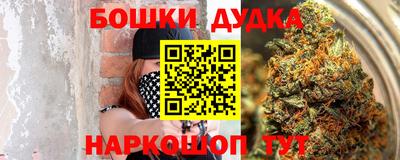 дмт Гай