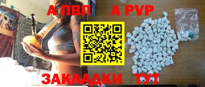 дмт Гай