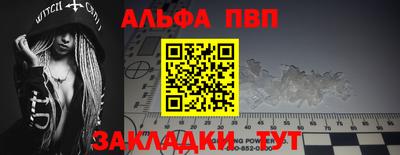 дмт Гай