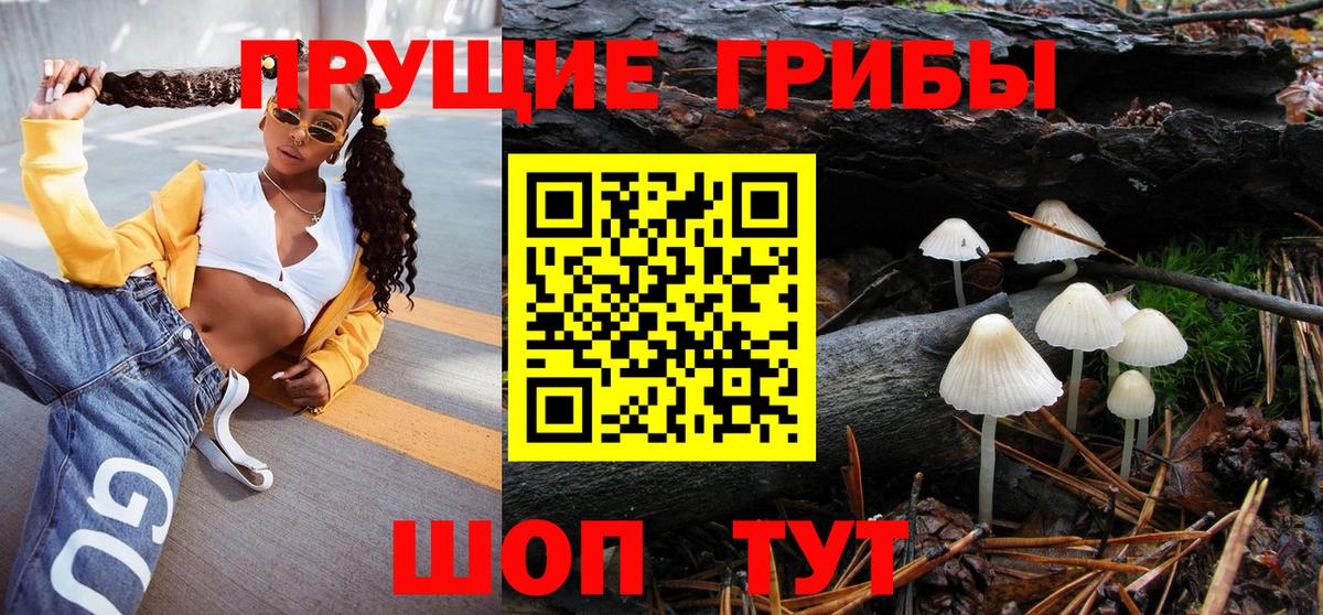 Мытищи  Псилоцибиновые грибы Psilocybine cubensis  Вход с VPN  Псилоцибиновые грибы GOLDEN TEACHER 